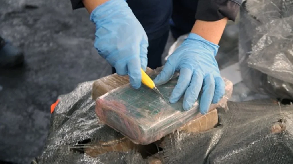 Imagen del Ministerio de Gobierno Ecuador: Destrucción de sustancias sujetas a fiscalización, base de coca, clorhidrato de cocaína, y marihuana